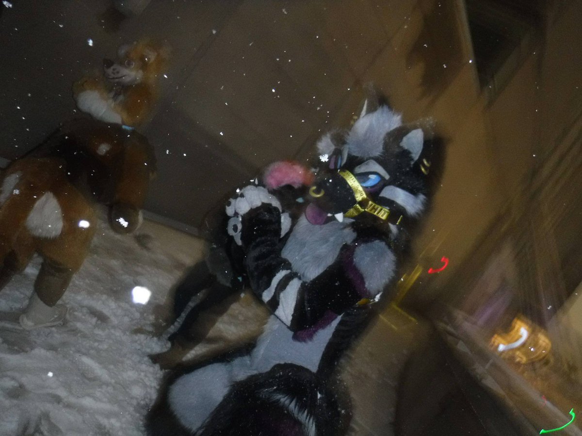 ✨Speakeasy✨🔜FWA tweet media