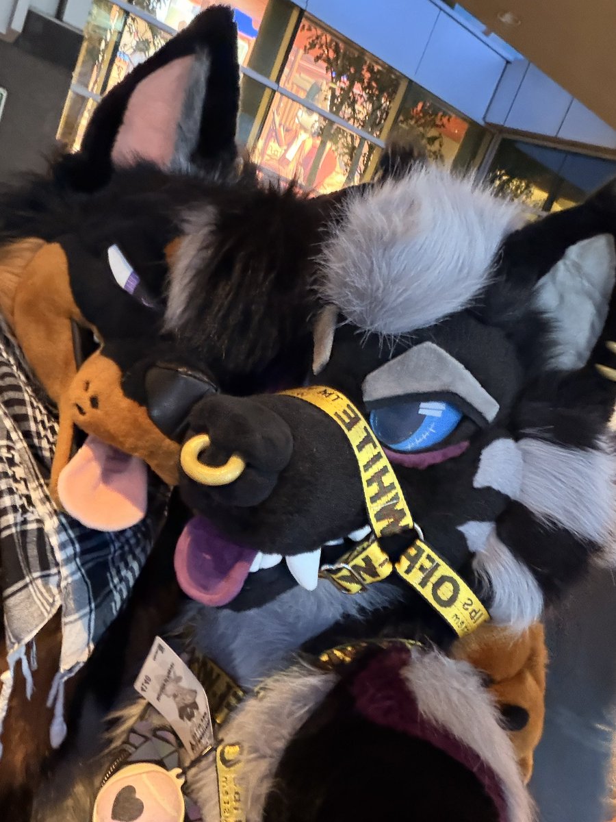 ✨Speakeasy✨🔜FWA tweet media