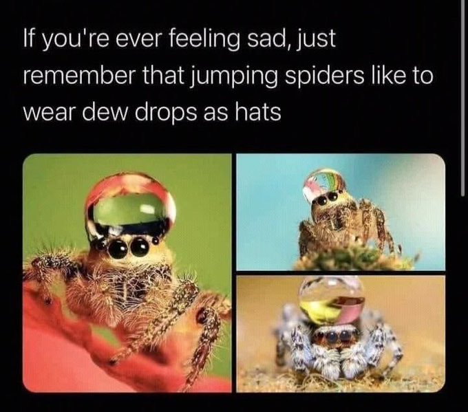 🌟Keli🌟 tweet media