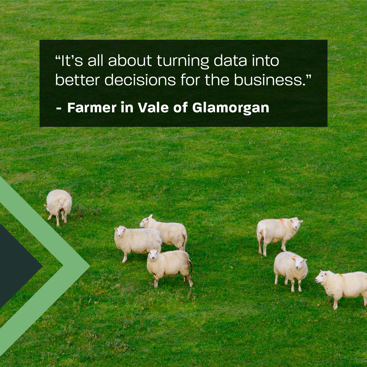 Welsh Government Rural Affairs tweet media