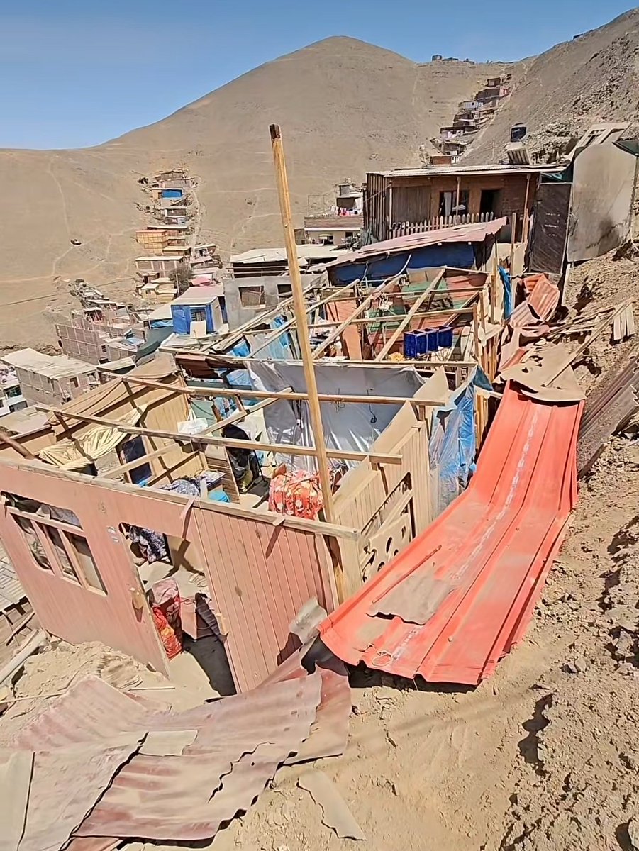 Koirandoshil tweet media