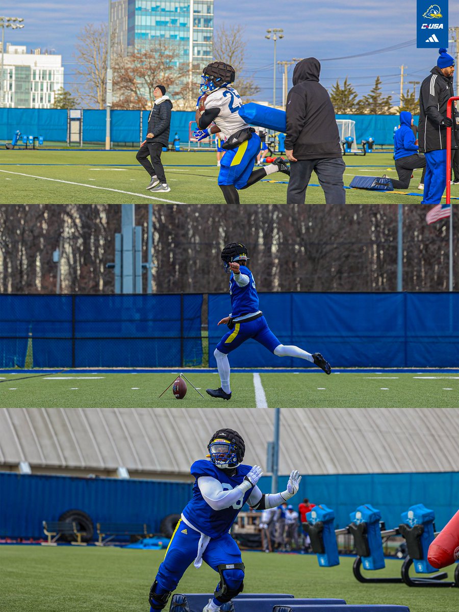 Delaware Football tweet media