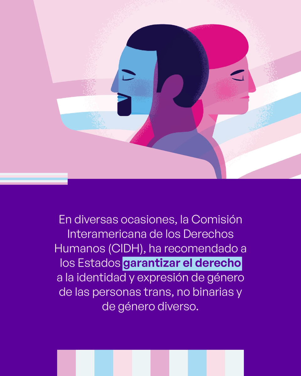 ARTICLE 19 México y Centroamérica tweet media