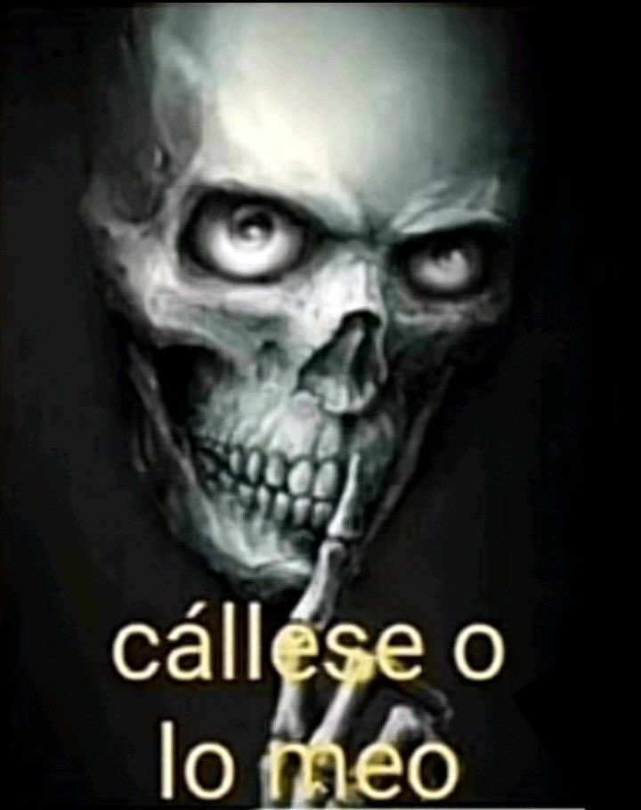 El perro cosmico tweet media