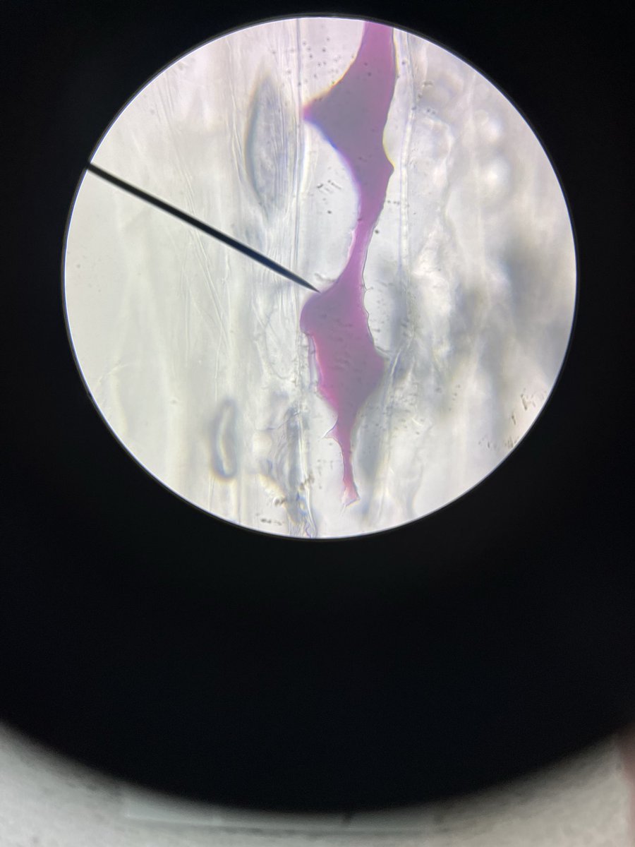 Hermitage Science tweet media