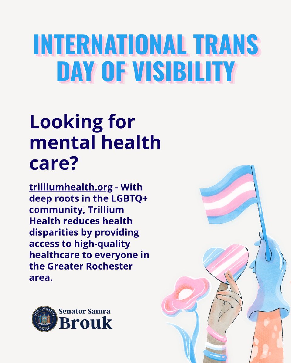 NYS Senator Samra Brouk tweet media