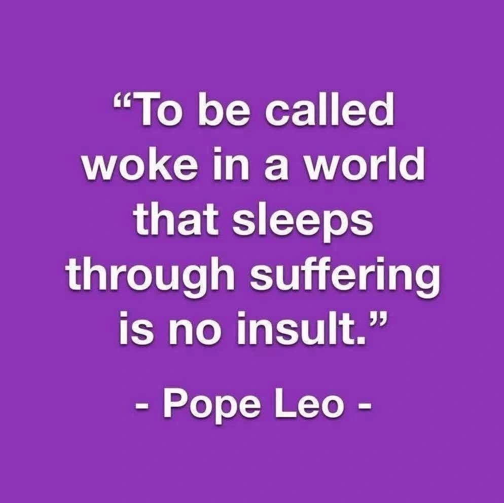 David Custy tweet media