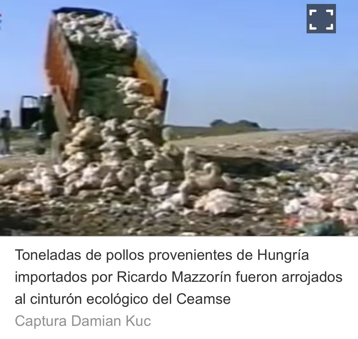 Testigo 🇦🇷 tweet media