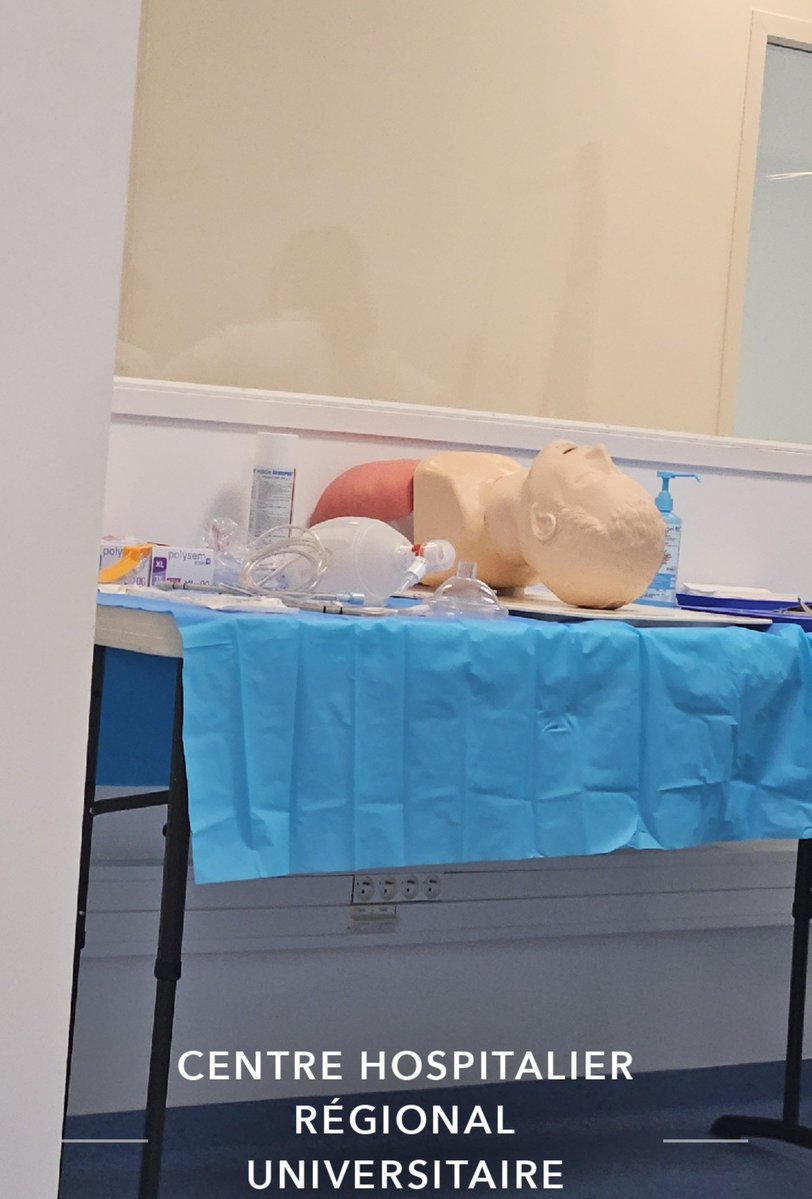 🪩💌 tweet media