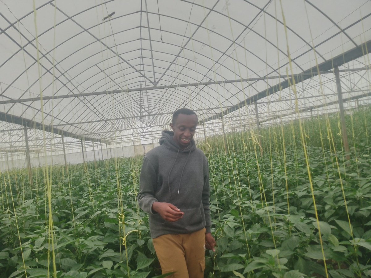 U&I SMART AGRI LTD tweet media