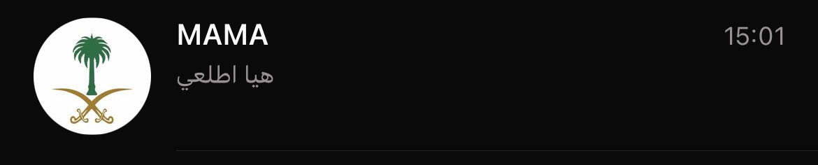 🇸🇦 tweet media