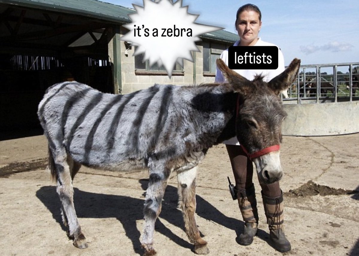𝐰𝐚𝐬𝐚𝐛𝐢 tweet media