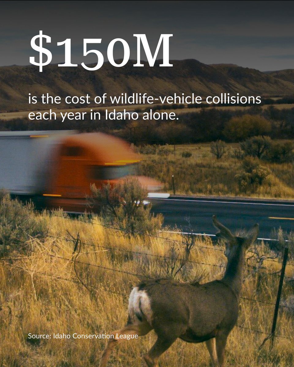 Pew Environment tweet media