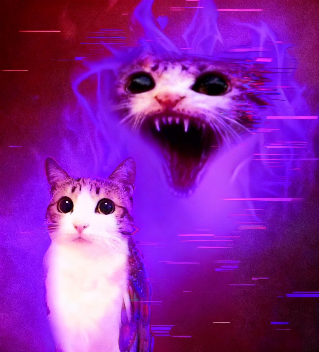 wew 😈 tweet media