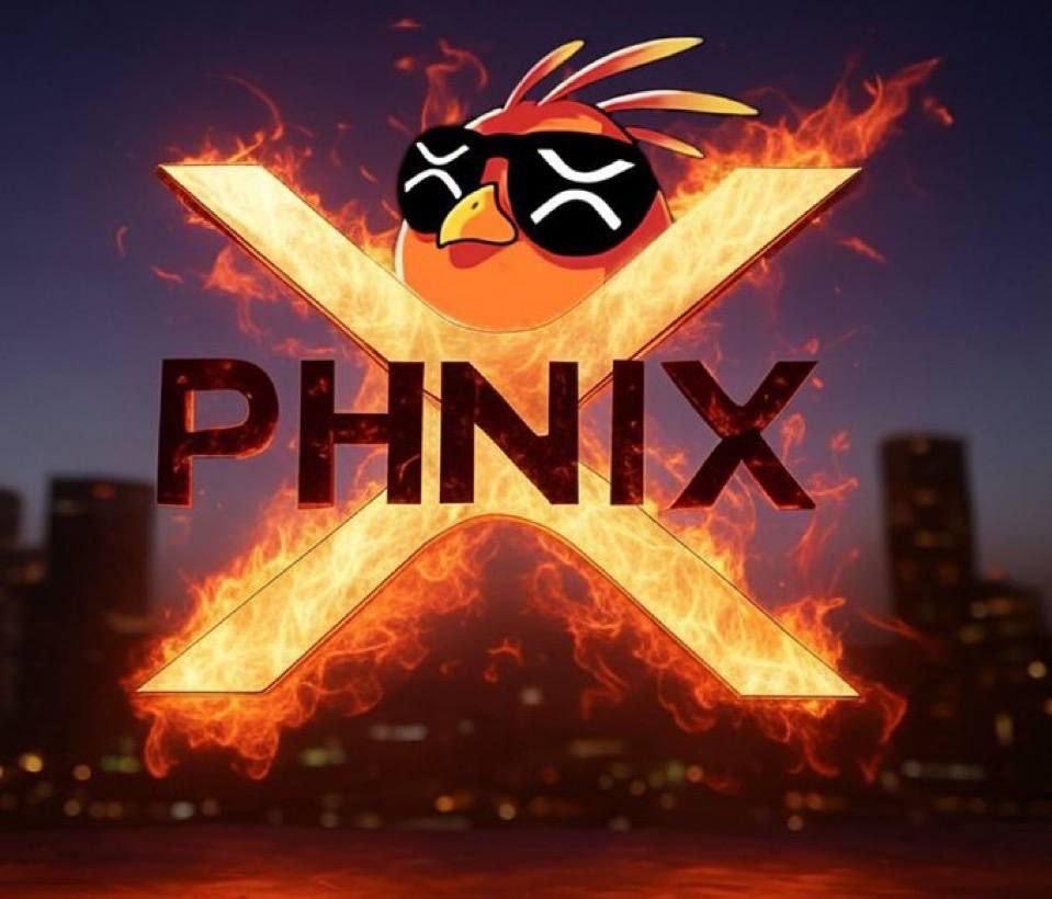 Memes on XRP 💧⚔️🔥🐻 tweet media