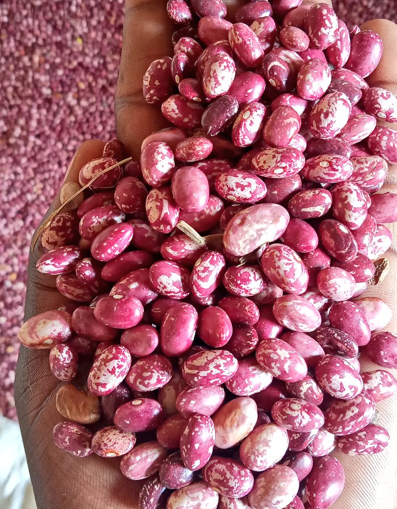 Ashaba🙏 tweet media