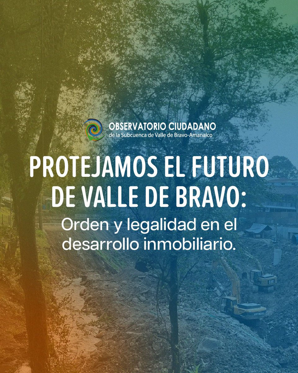 Observatorio Ciudadano tweet media