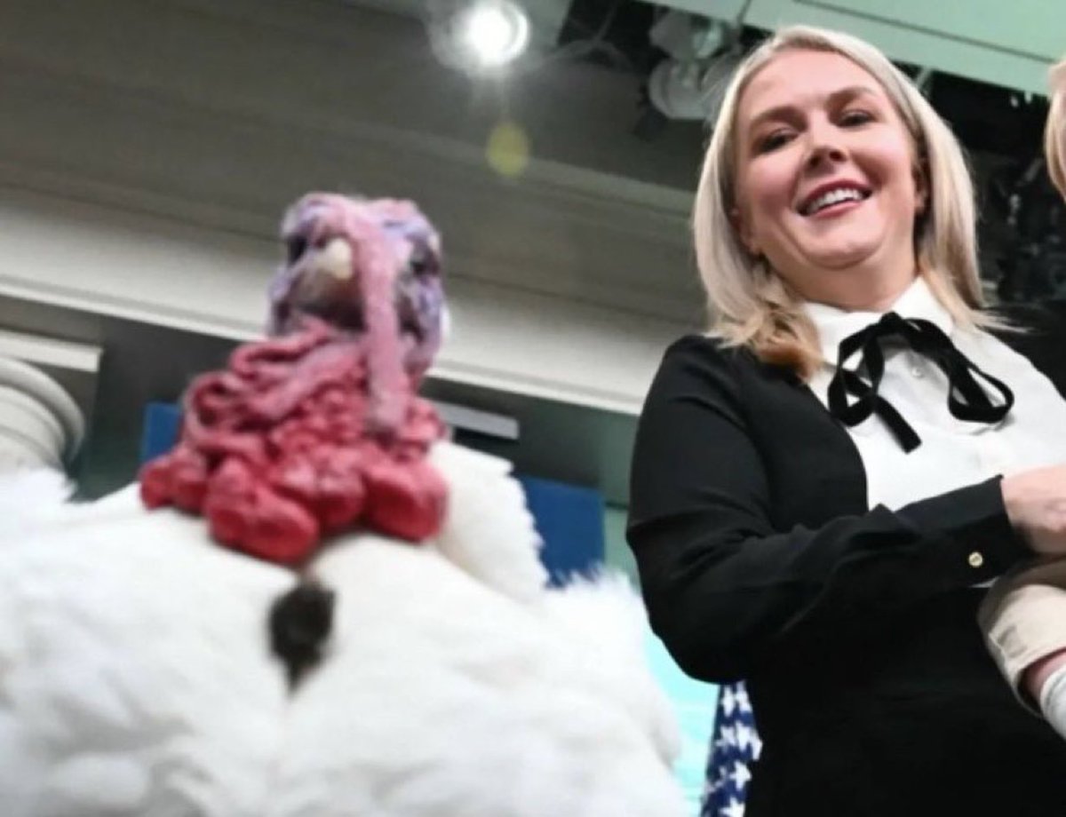 Вестник бури / Буревестник tweet media