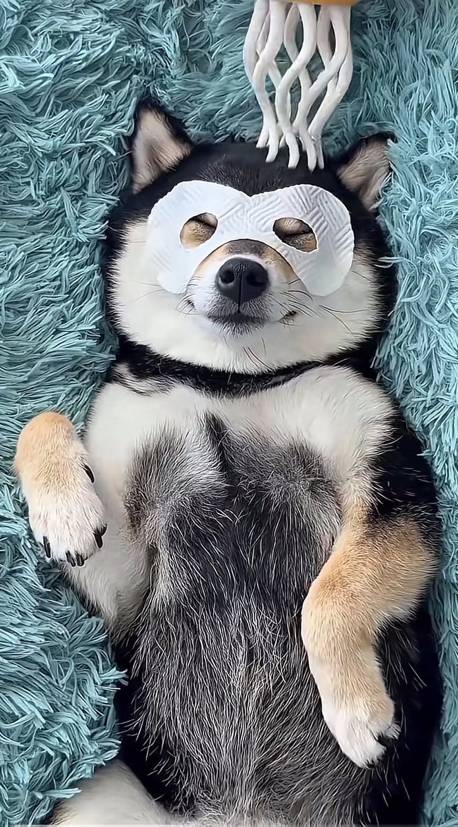 Jack 🇳🇱 tweet media