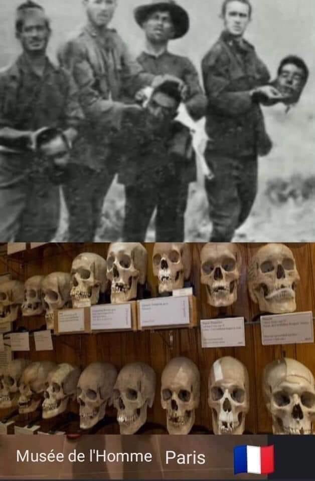 thaartist tweet media