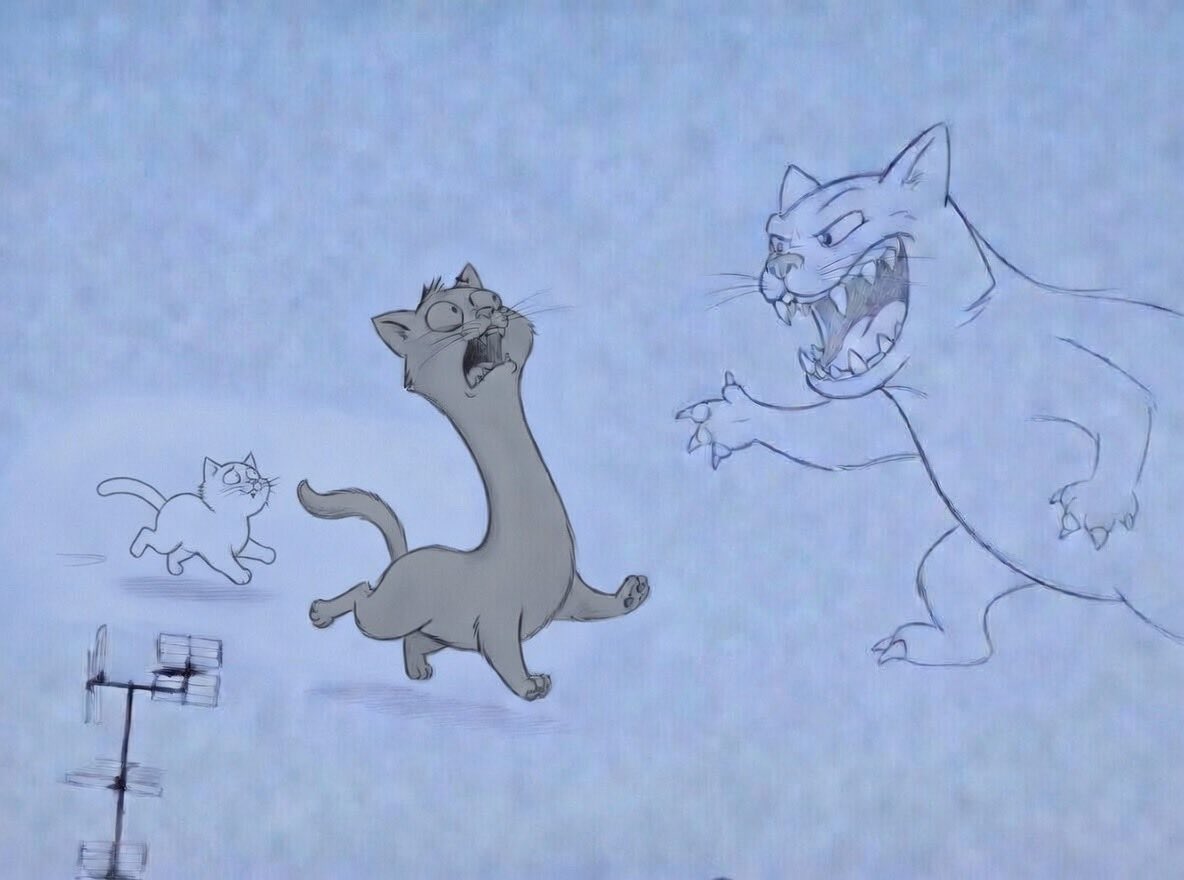 Chadia Bailet tweet media