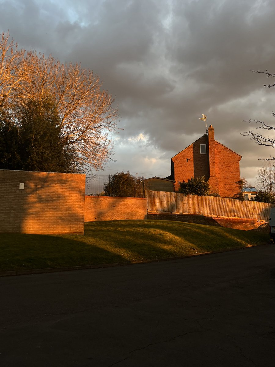 tosti𓍢 🪩 tweet media