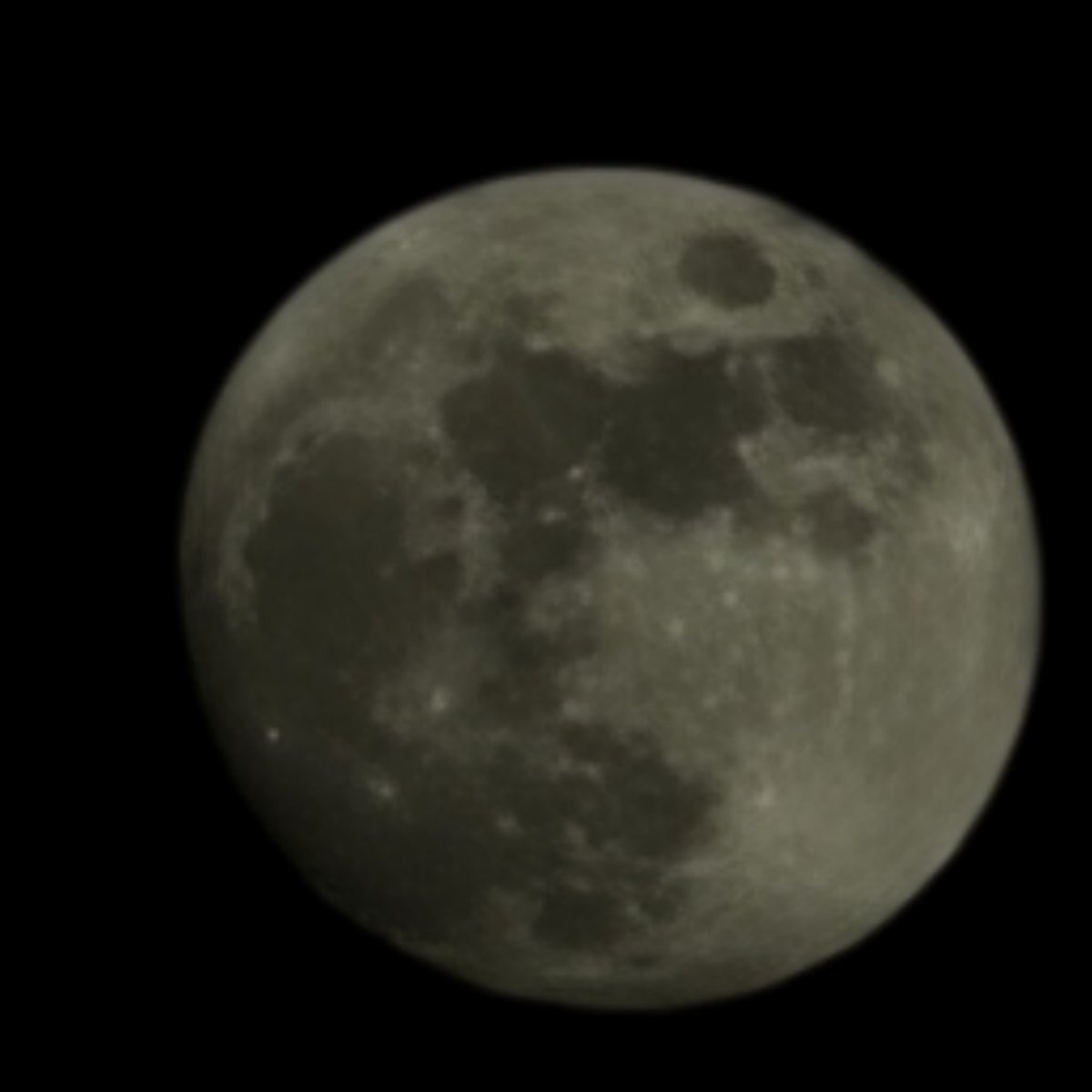 trucking about tweet media