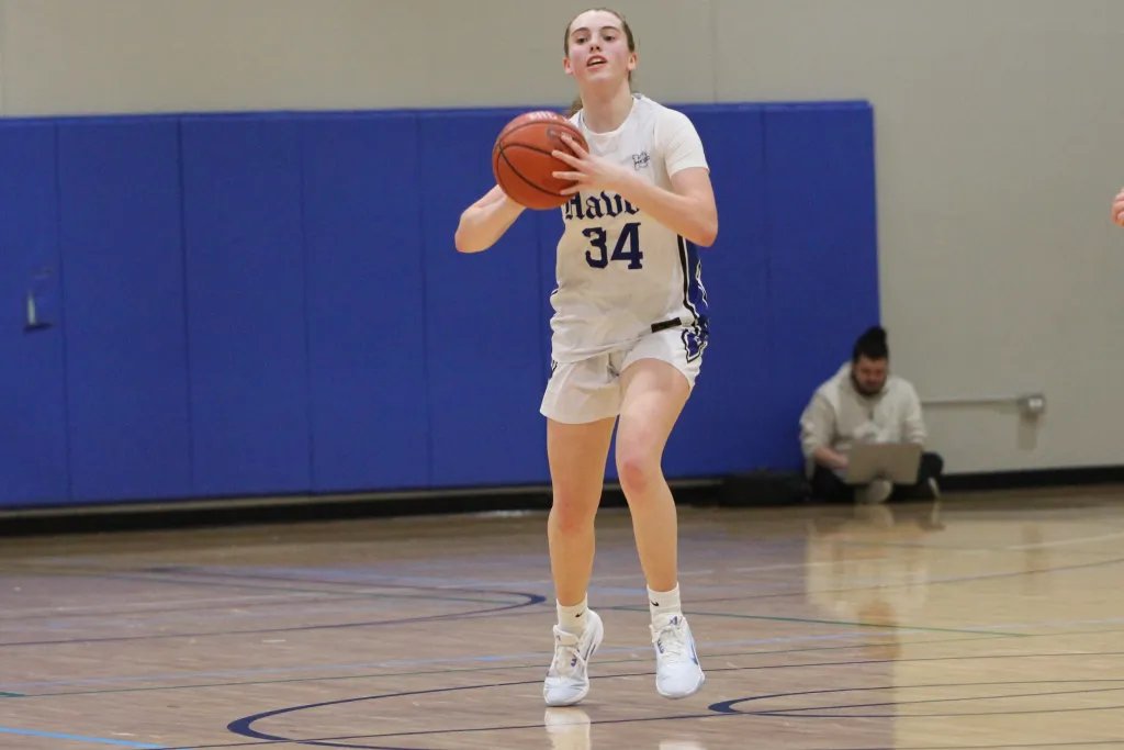 Prep Girls Hoops Illinois tweet media