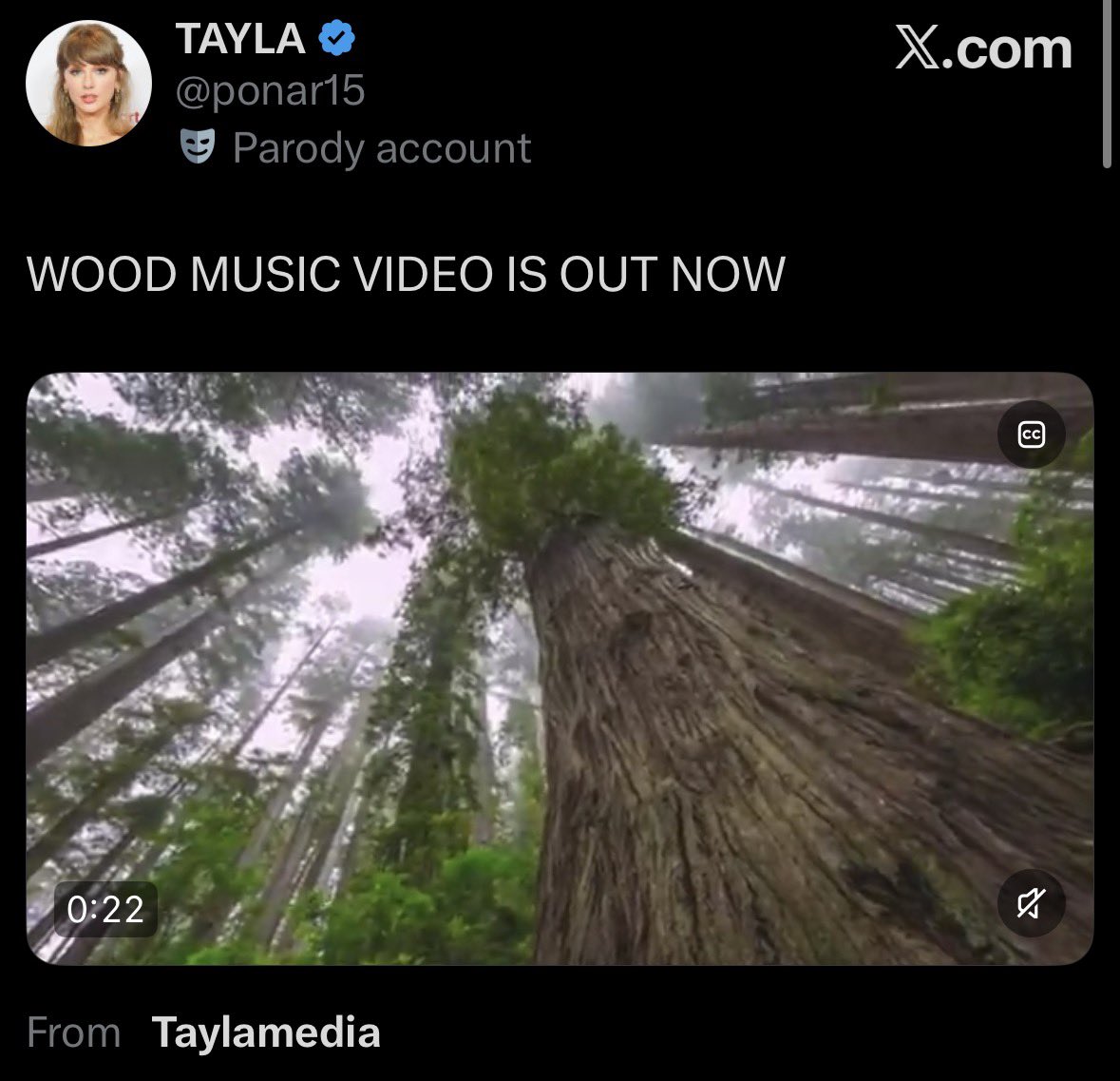 sean⸆⸉ tweet media