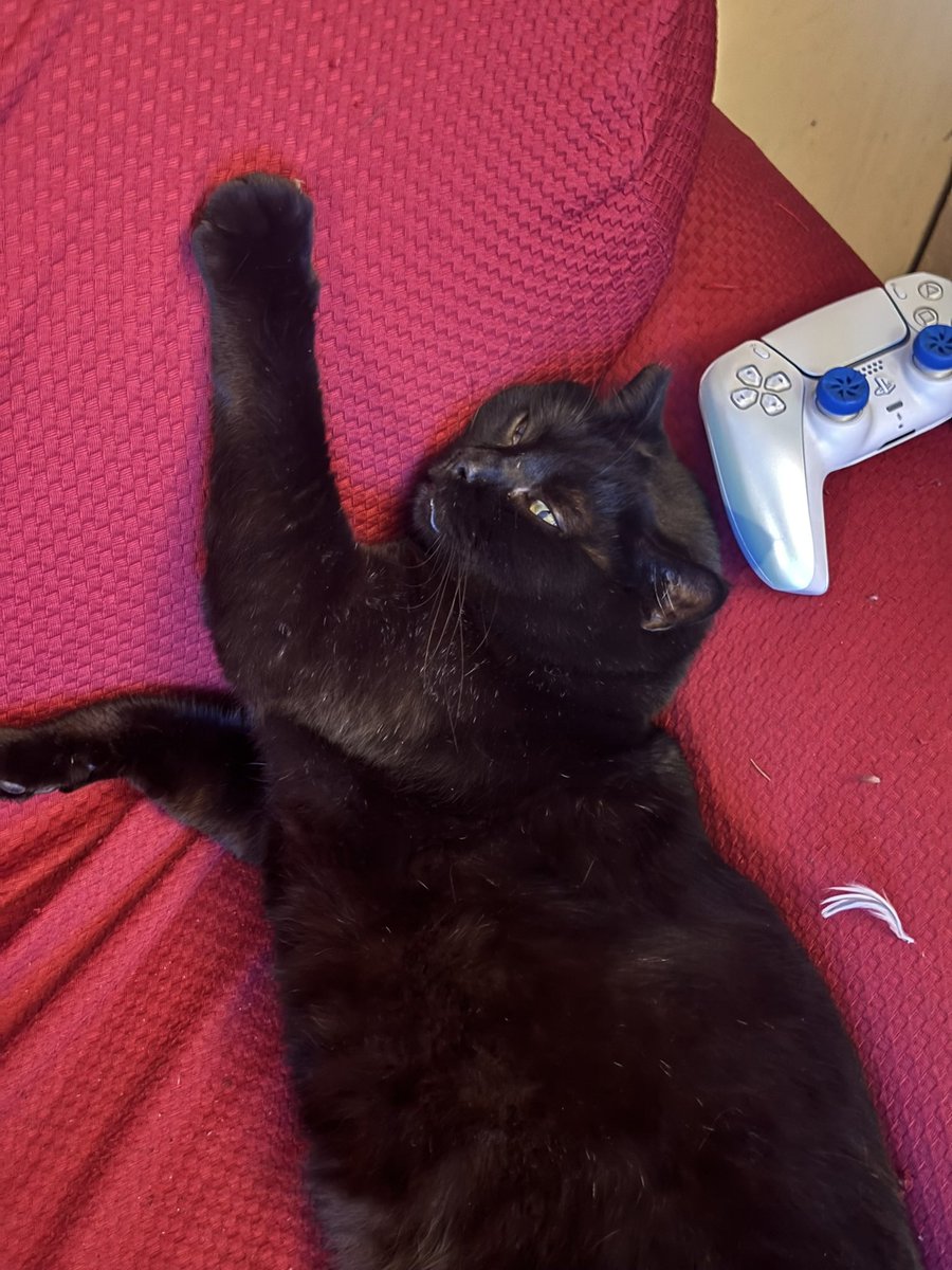 Ingram 🤖 tweet media