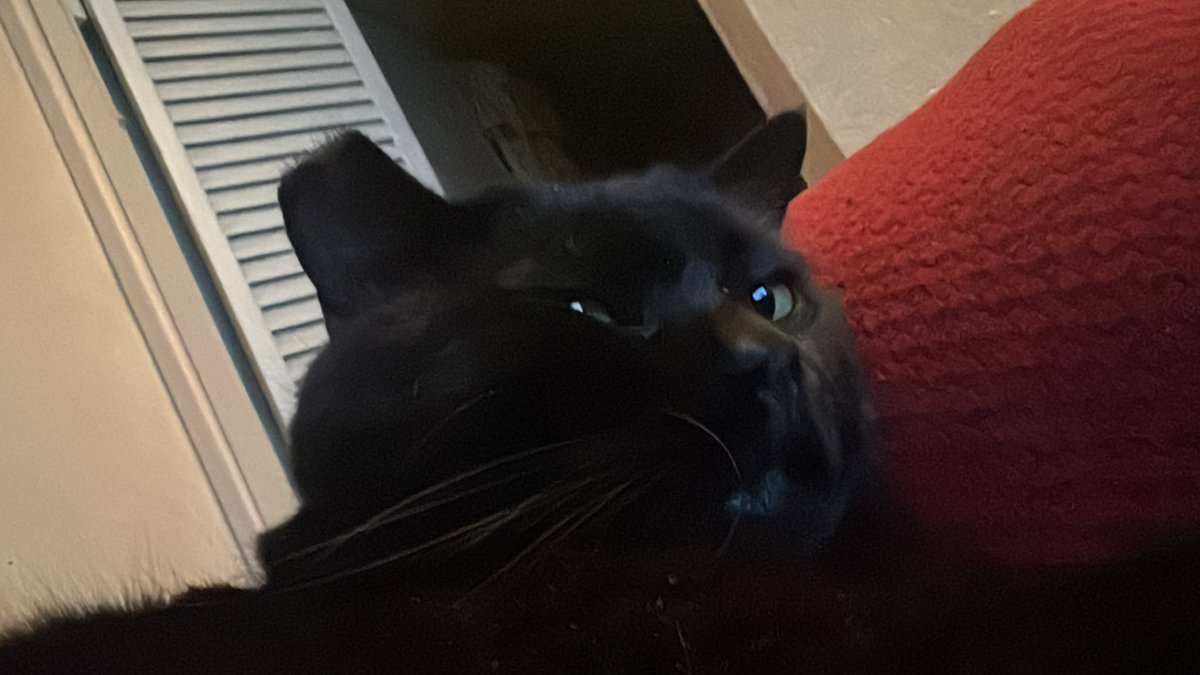 Ingram 🤖 tweet media