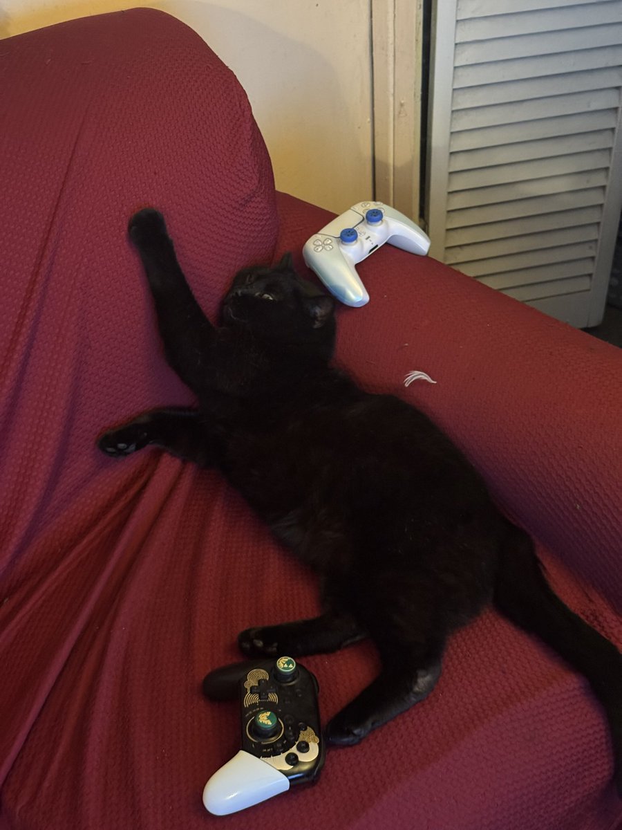 Ingram 🤖 tweet media