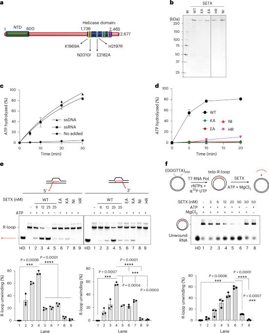 NatureStructMolBiol tweet media