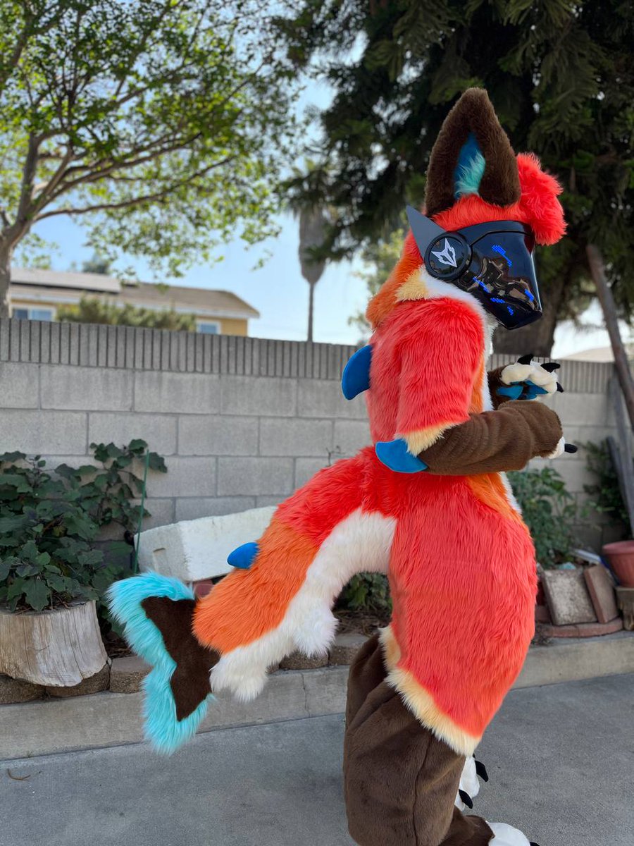 Stitch 🔜 LVFC, AC tweet media