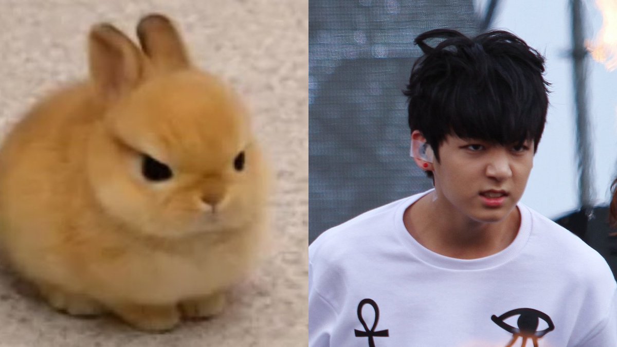 mj⋆✮ tweet media