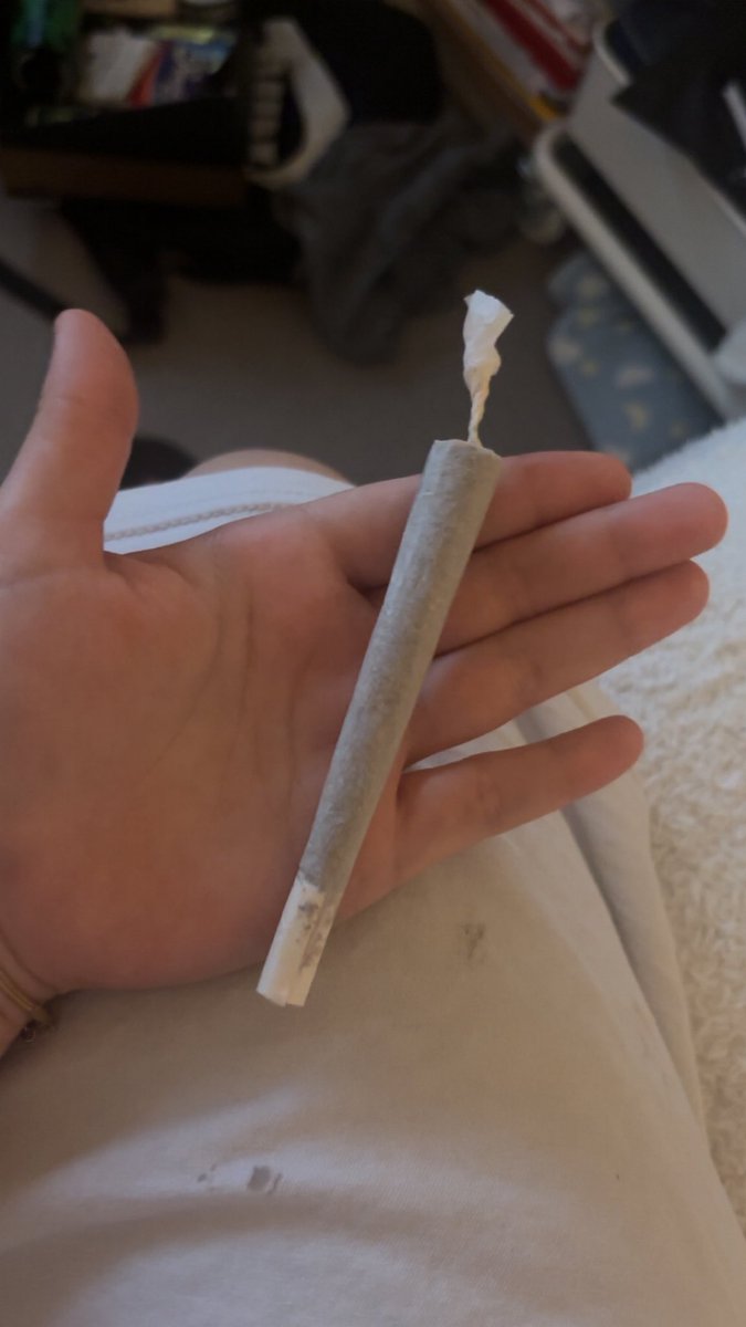 ❛ 𝒾𝓃𝒹𝒾༉‧₊˚ tweet media