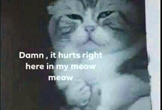 Just Chris tweet media