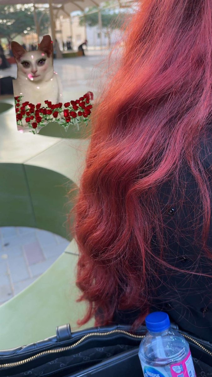 ⭒⋆⭒⋆ tweet media