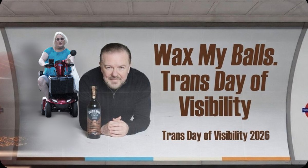 mole at the counter tweet media