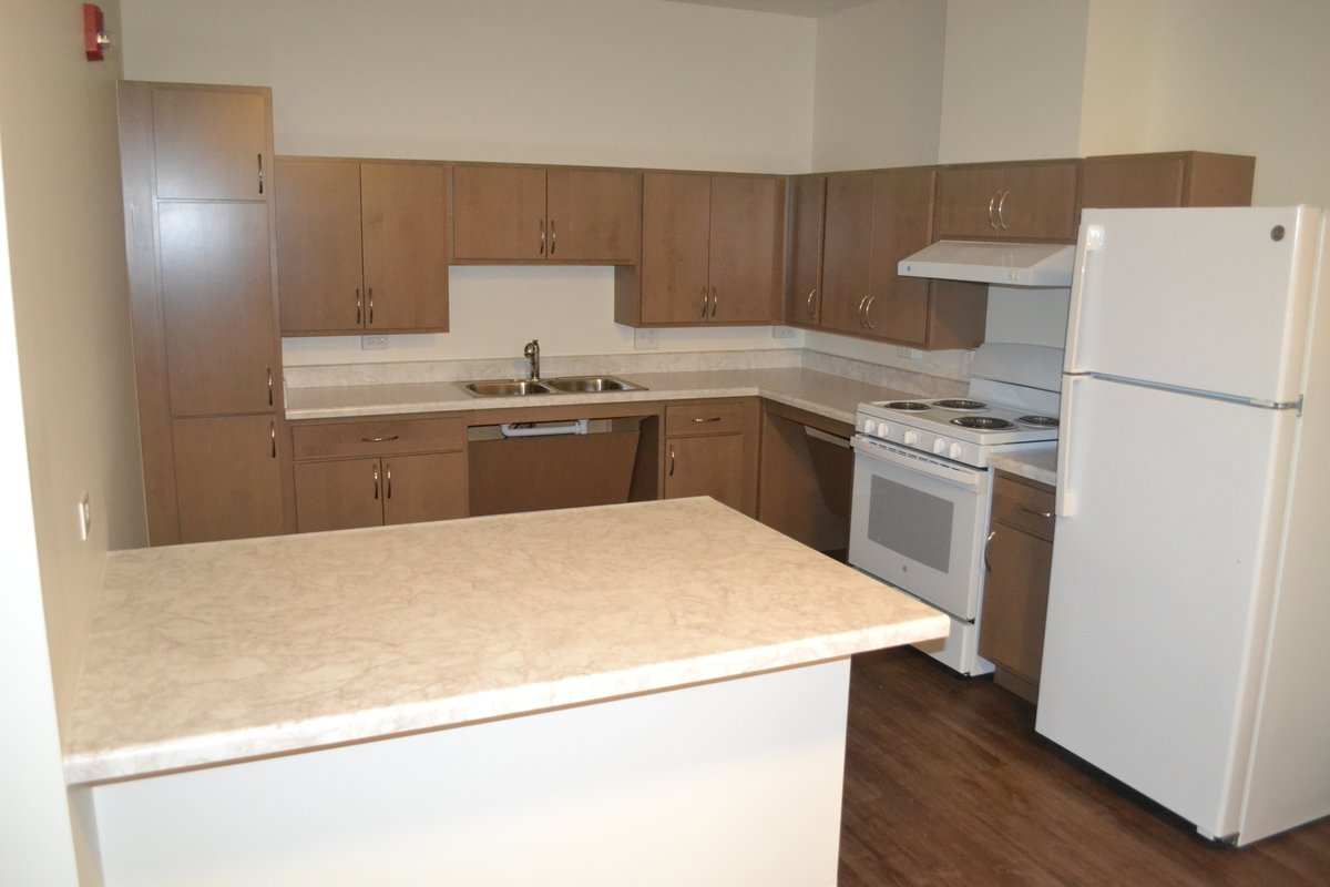 Toni Preckwinkle tweet media