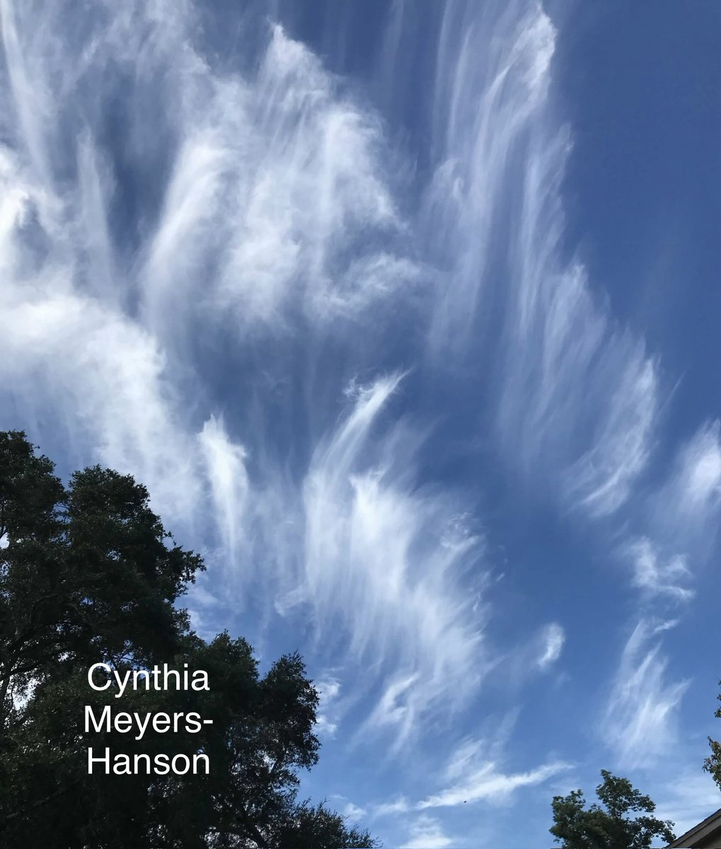 Sky-Princess-Cindy tweet media