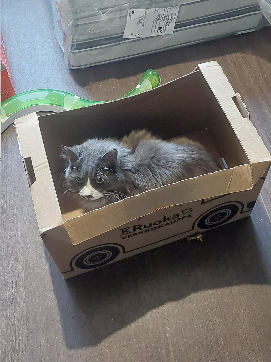 box activities