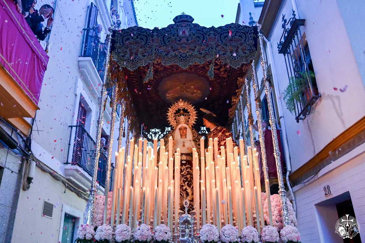 HdaDulceNombre's tweet photo. #LaBofetá26 | Galería 

Cae sobre el palio de la Virgen del Dulce Nombre una lluvia de pétalos a su paso por Cardenal Spinola. https://t.co/8gaByae52r