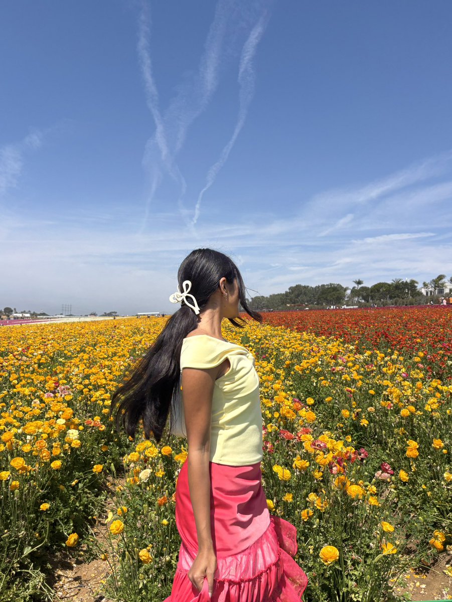 ⊹DENALI⊹ tweet media