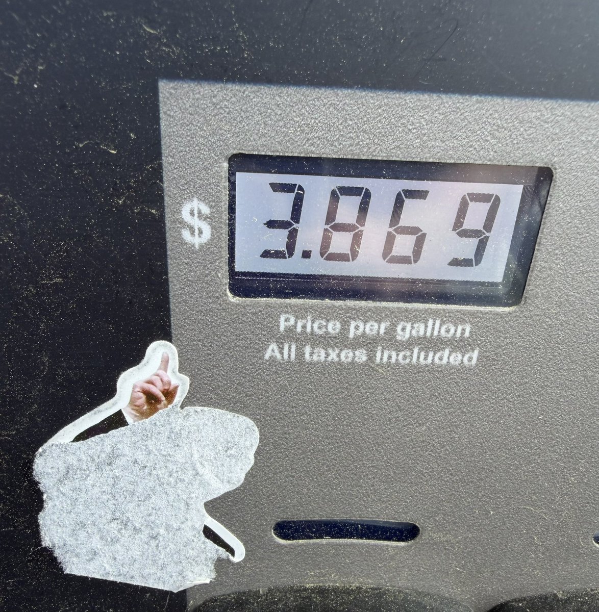 ape attack survivor tweet media