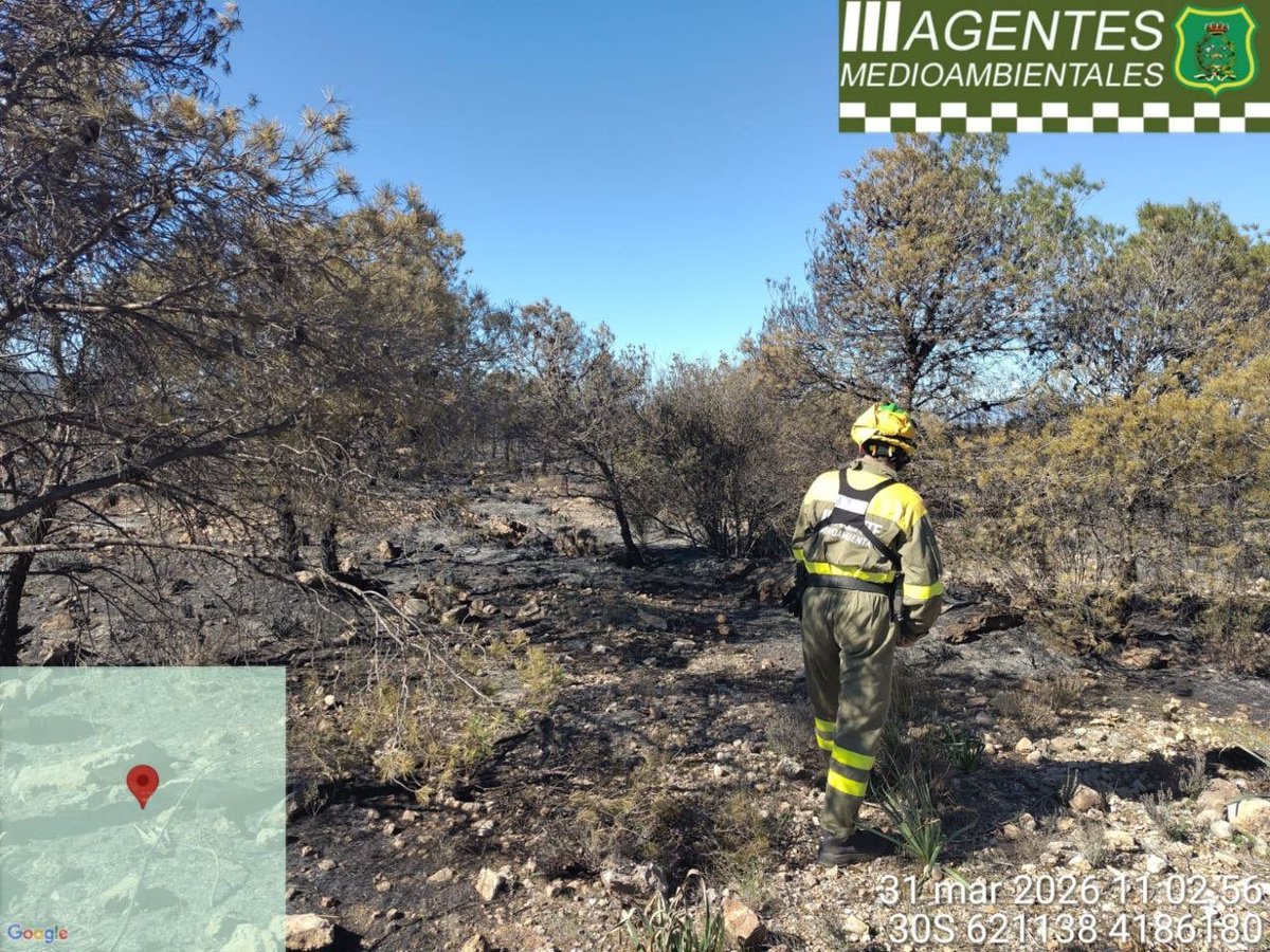 AM Región de Murcia tweet media