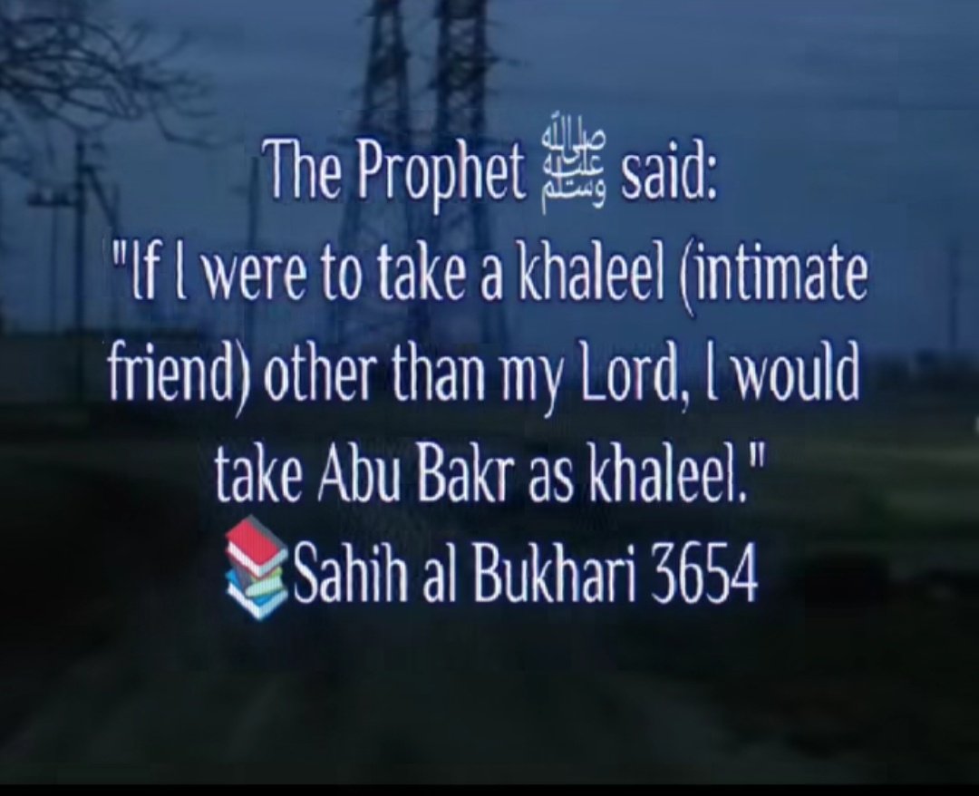 Senior Adv. Angry🇵🇸 tweet media