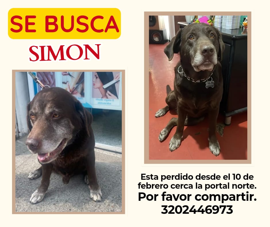 💥Paola💥 tweet media