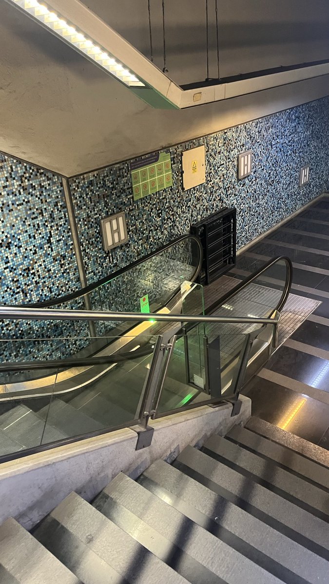 Leli Mai 💛 tweet media