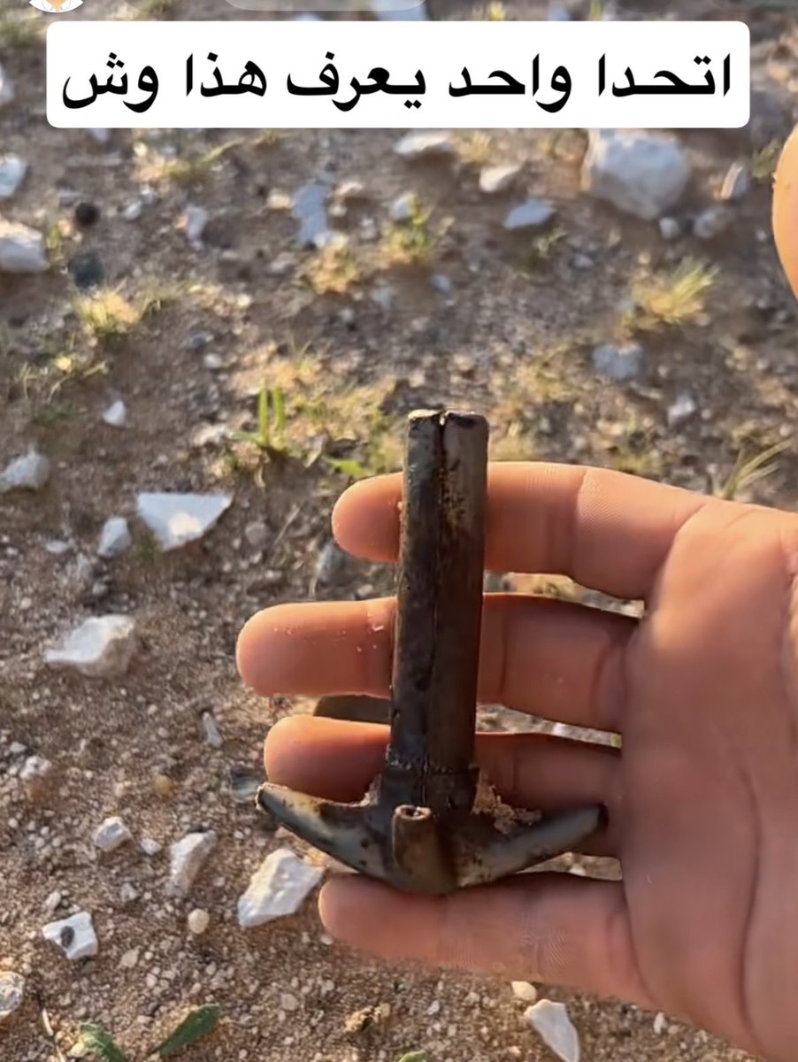 vip خاص نوادرالابل tweet media